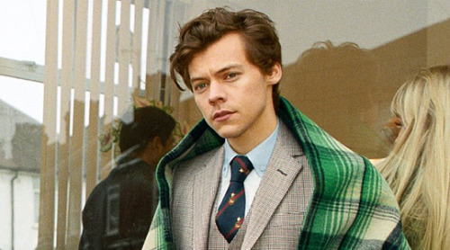 hampsteadharry:Harry for Gucci Tailoring