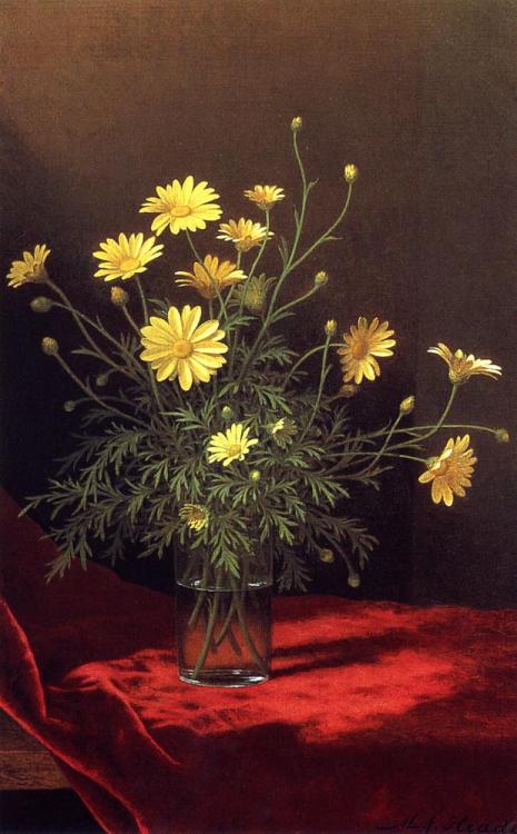 dappledwithshadow:Golden MargueritesMartin Johnson Heade circa 1883-1895 Private collectionPainting 