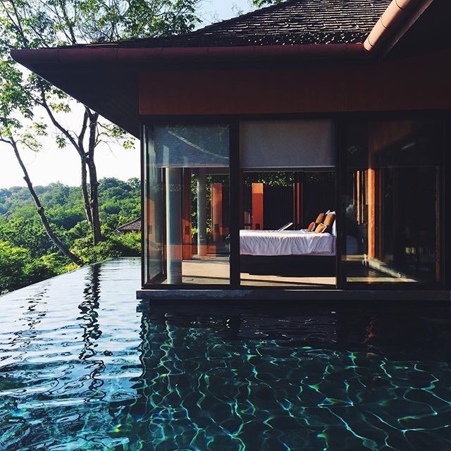 wild-nirvana:  +