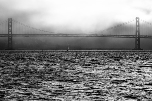 bay bridge (shot from Port of Oakland)©cpleblow (2012)