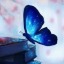 gohstbutterflies
