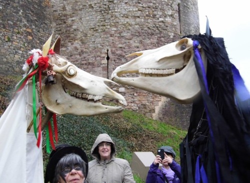 mistressofthebats: rolypolypellmell: Mari lwyd, the Welsh horse skull that goes door to door at Chri