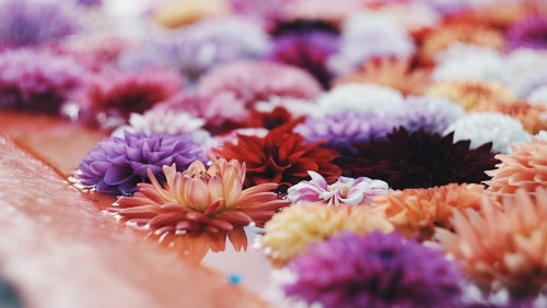 Autumn Colors, In Full Bloom. Just Looking At It Warms Your Heart And Makes You Kinder.