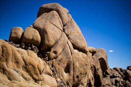 Joshua Tree National Park.