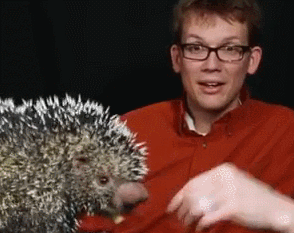 edwardspoonhands:  progshell:  It’s hard to say the best thing about Sci Show,
