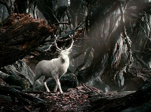 badcode:magic or mythical deer in film and porn pictures