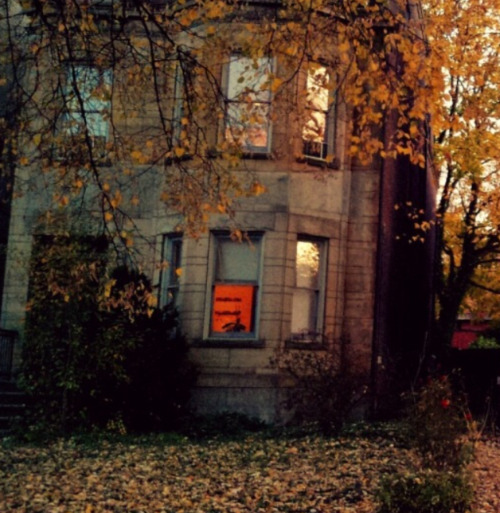 boybandreid: moodboard: Matthew Gray Gubler // Autumn
