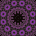 jesuisrien-e:Purple