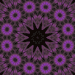 jesuisrien-e:Purple