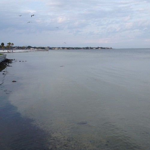 #downtown #florida #beach #water