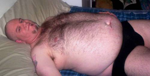 Hollandbear