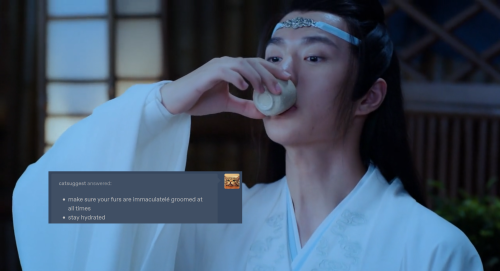 howdydowdy:drunk!lan wangji as catsuggest, part 2(part 1) (part 3)