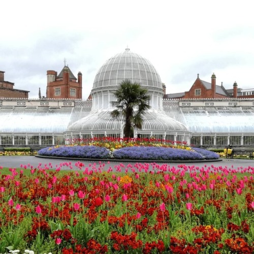 Under the dome #botanicgarden #tulips #belfast #northernireland #ireland #queensuniversity #queensun