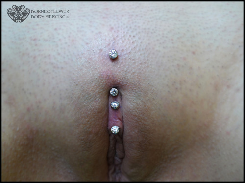 pussymodsgaloreA Christina piercing (top) and a VCH piercing, both with decorative curved barbells.The original poster says: “  Christina and Vch piercing. Jewelry from isbodyjewelry and anatometal !  “.