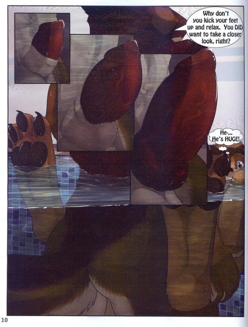 furrypets1: FuRRy comic Part (2/6)