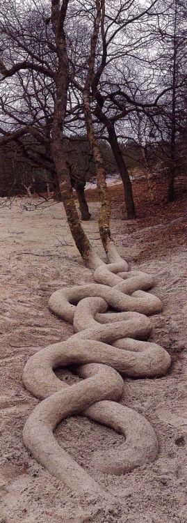 Andy Goldsworthy (British, b. 1956, Cheshire, England) - 1: Serpentine Tree Roots  2: Carefully Brok