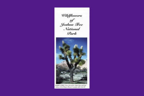 252. Joshua Tree National Park Association. Wildflowers of Joshua Tree National Park. California: JT
