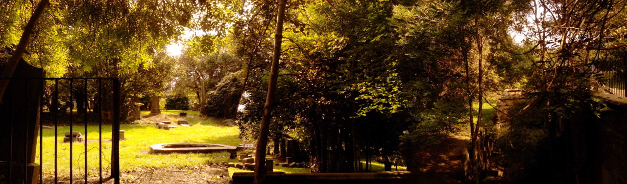 SIGHT OF THE TOMBS