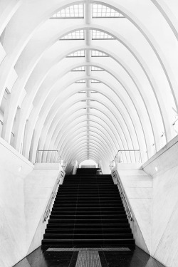 anticlimaxed:  Liege Guillemins train station