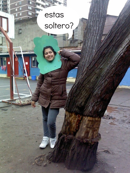 nomegustanlasperas:  por si no se entiende… se supone que ella le pregunta al árbol si esta soltero,no al que lee esto wasdfgfghhj 