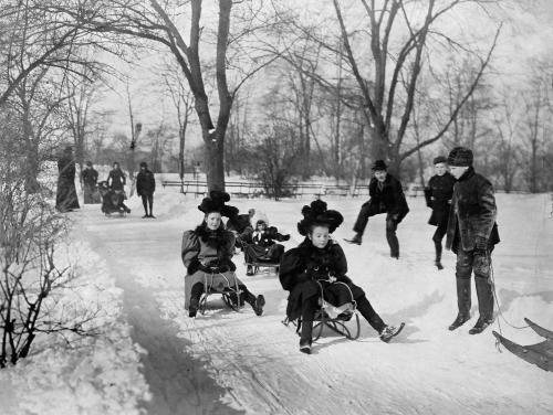 blondebrainpower:  Sledding in Central Park, NYC, 1904