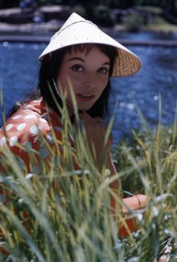 opalinedream:  Elsa Martinelli, 1955 