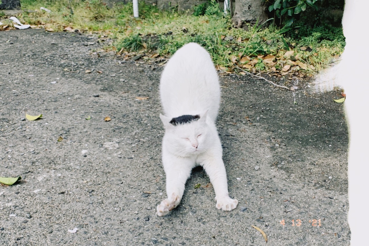 双界儀 Explore Tumblr Posts And Blogs Tumgir 双界儀 Explore Tumblr Posts And Blogs Tumgir