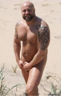 Stocky-Men-Guys:  Bearandhairy:  Fuckyeahdaddies:  Loads Of Daddies At Fuck Yeah