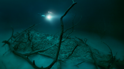 sixpenceee:  Underwater RiverThis is an underwater