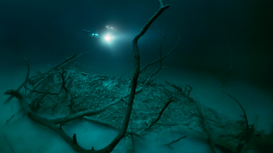 sixpenceee:  Underwater RiverThis is an underwater river in Mexico (Yucatan). The different density levels in the two waters causes them to layer.Photo credit: Anatoly Beloshchin 