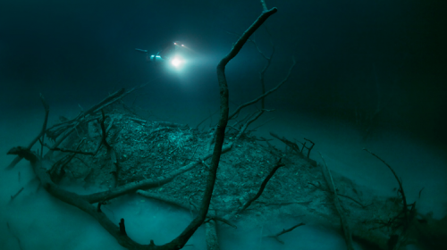 sixpenceee:  Underwater RiverThis is an underwater adult photos