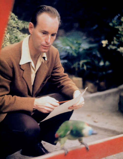 Lee and Mary Blair photographed by Hart Preston during Walt Disney’s South American Goodwill Tour, c