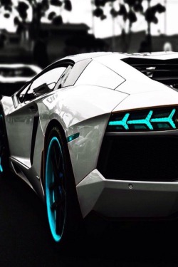 robert-dcosta:  Lambo || @ || Robert D’Costa ||