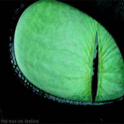 insertcoolpunhere:the-way-im-feeling:Eyes…HTTYD parallels ©IN THE FIRST, THE TREES ARE REFLECTED IN 