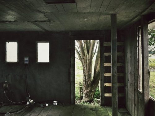 abandonedography: schickjessica: Today in an abandoned house in Ferndale, California. This is really