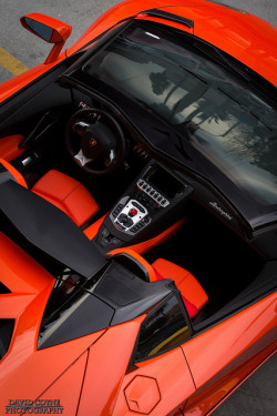 davidcoynephotography:  Lamborghini Aventador