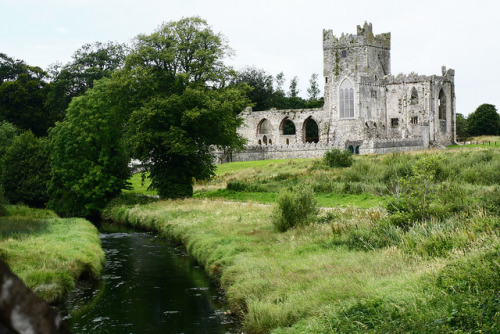 fieldsinireland: Tintern Abbey_2012 07 29_0042 by OrliPix on Flickr.