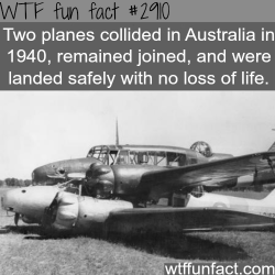 wtf-fun-factss:  Awesome plane crash -  WTF