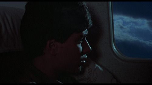 When You Fly Abroad And Imagine That You Have Broken Up With Your Partner And Left Them, Looking Out