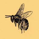 ohnothebees avatar