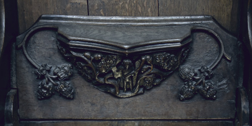 A collection of mythical creature Misericords including Blemmyes, Woodwose and a Yale- Ripon Cathedr