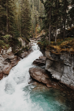 expressions-of-nature:  Maligne Canyon, Jasper National Park by Sean Doolan Hames