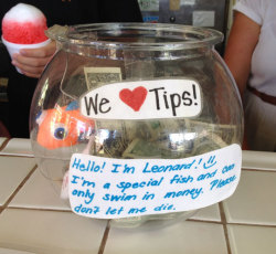 advice-animal:  Tip Jar In Hawaiihttp://advice-animal.tumblr.com/