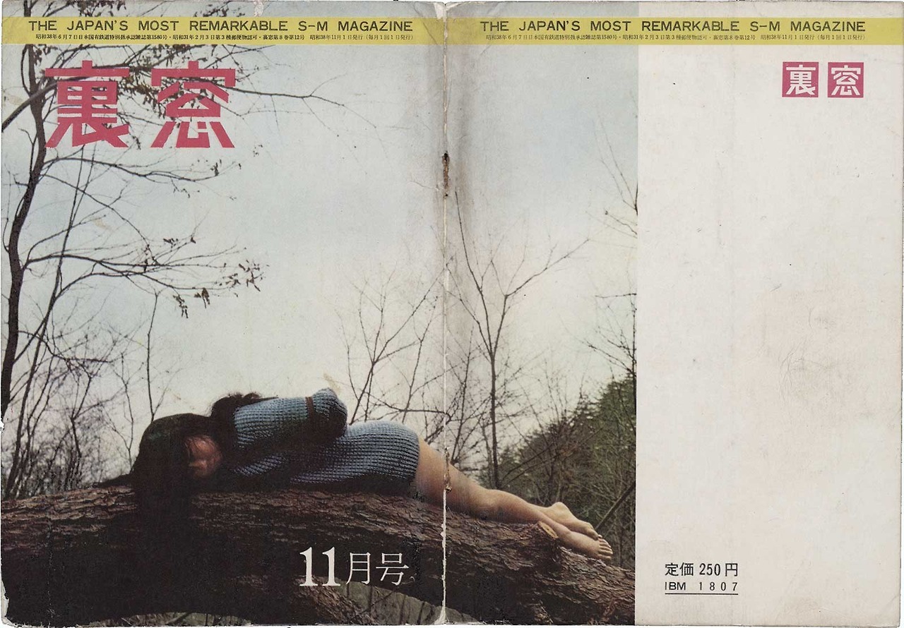 sowhatifiliveinjapan:  裏窓 (1963年11月)