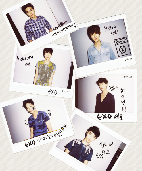 underwears:  high cut exo polaroids 