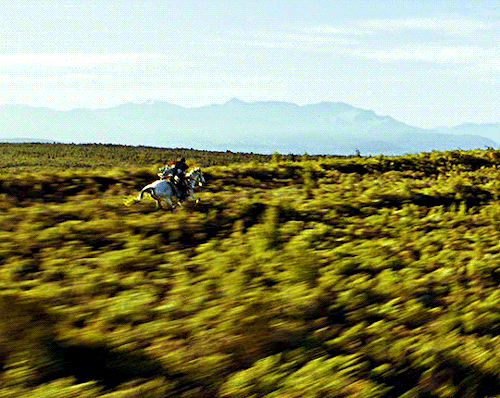 alfonso-cuarons: And so life in the Shire goes on, very much as it has this past
