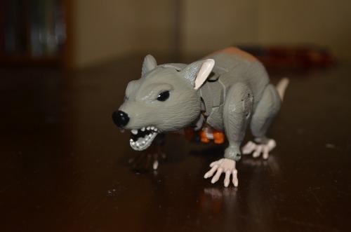 Another batch of pics of generations Rattrap. And a digibash of the toy with improved colours.