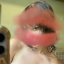 gemmasblogg