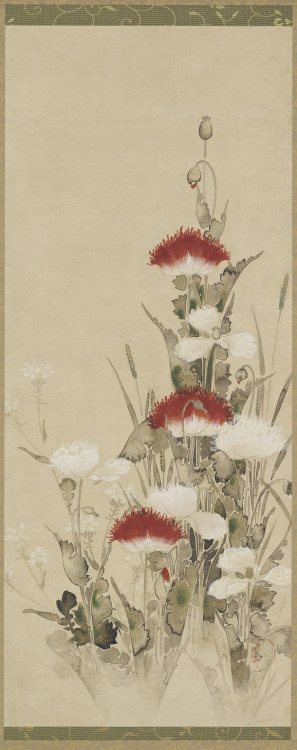 heaveninawildflower:‘Red and White Poppies’ (19th century). Colour and ink on paper by T