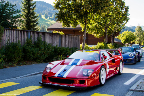 F40 LM Facebook || Tumblr || Instagram 